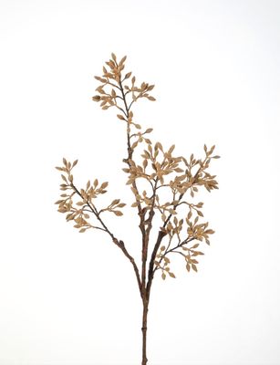 Wutong fruit spray 89 cm