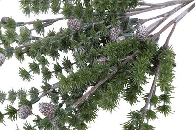Bundel larix groen