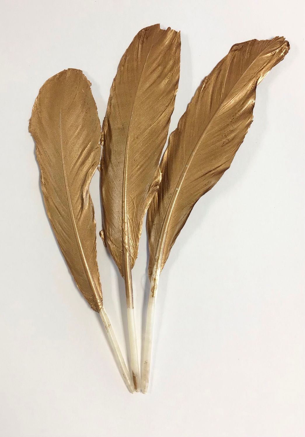 Duck Feathers