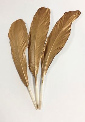 Duck Feathers