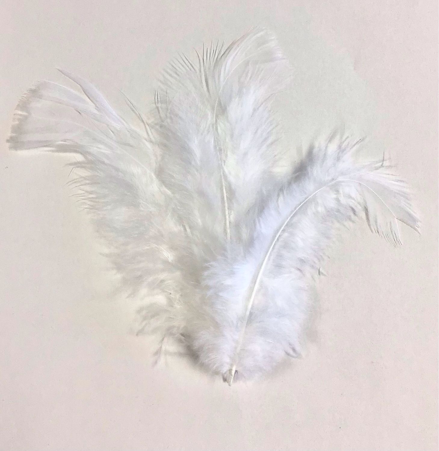 Turkey Feather