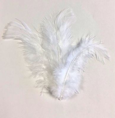 Turkey Feather
