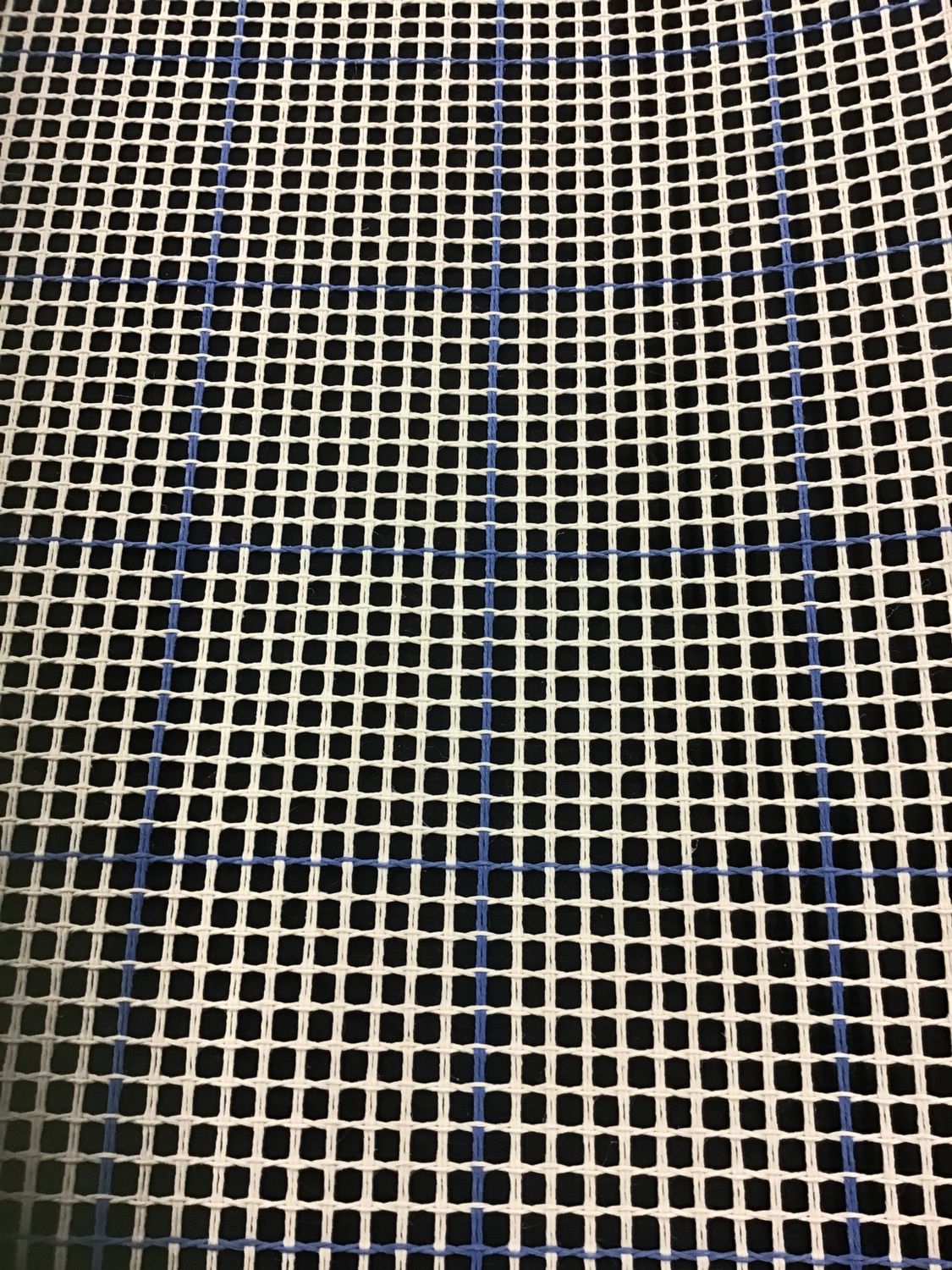 Rug Canvas