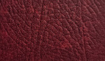 Oxblood Leatherette