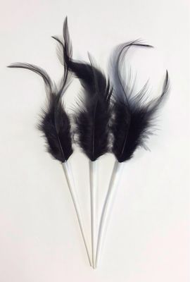 Rooster Feathers