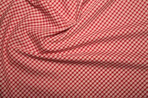 Gingham 1/8â³-Red