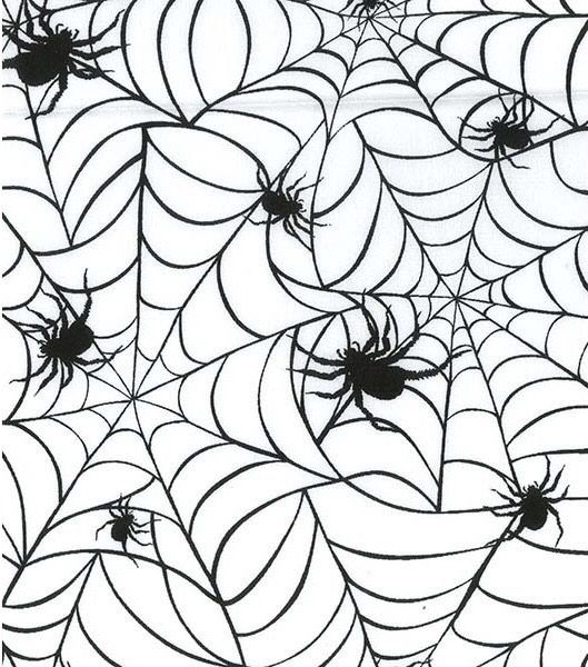 Spider On Web Polycotton