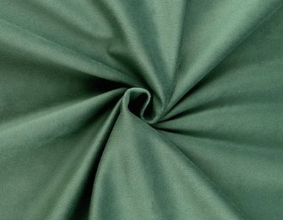 Wide Width Velvet- Frosty Green