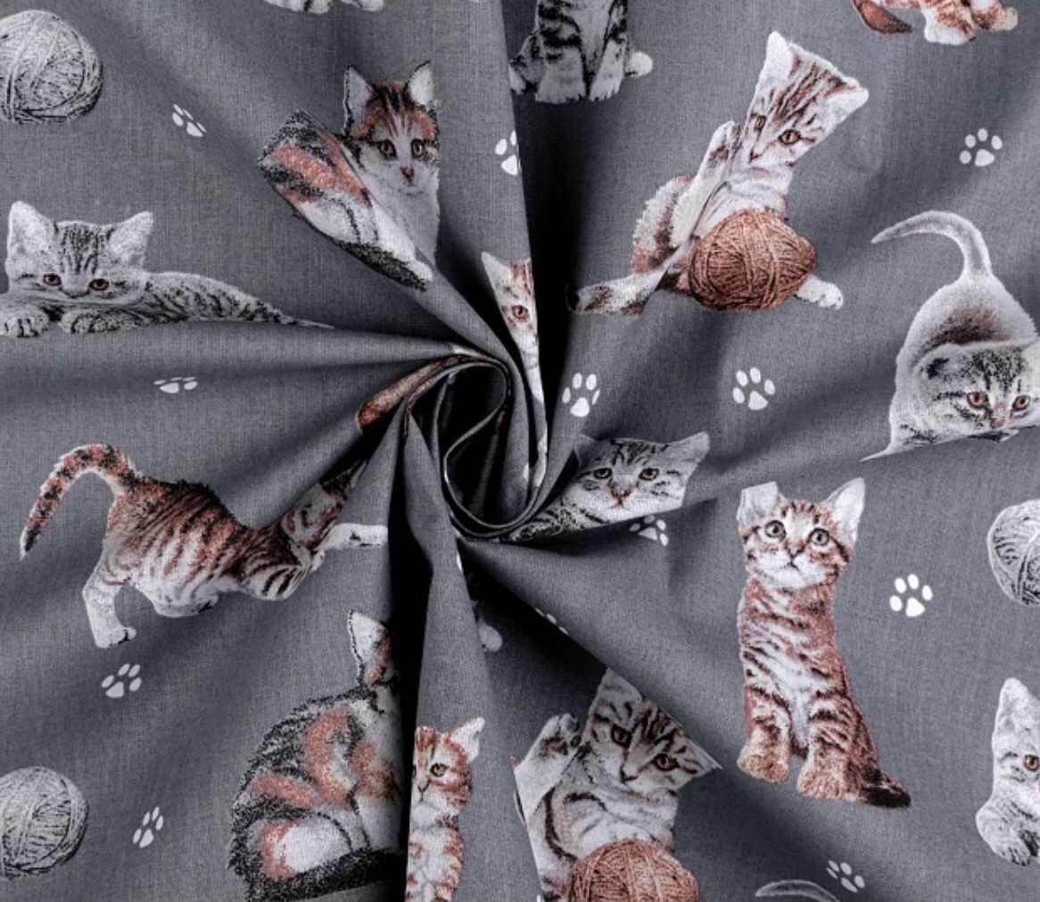 Cats On Grey