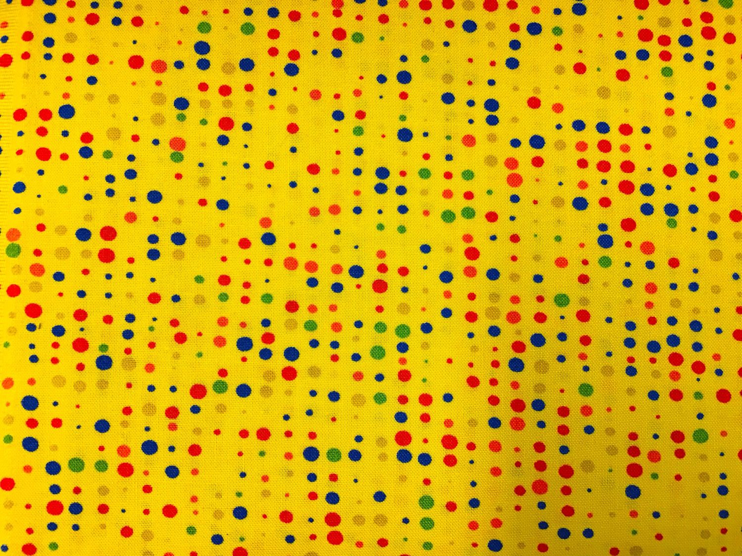 Colour Fun 8
