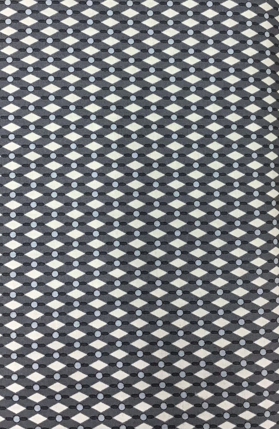 Geo Coaster