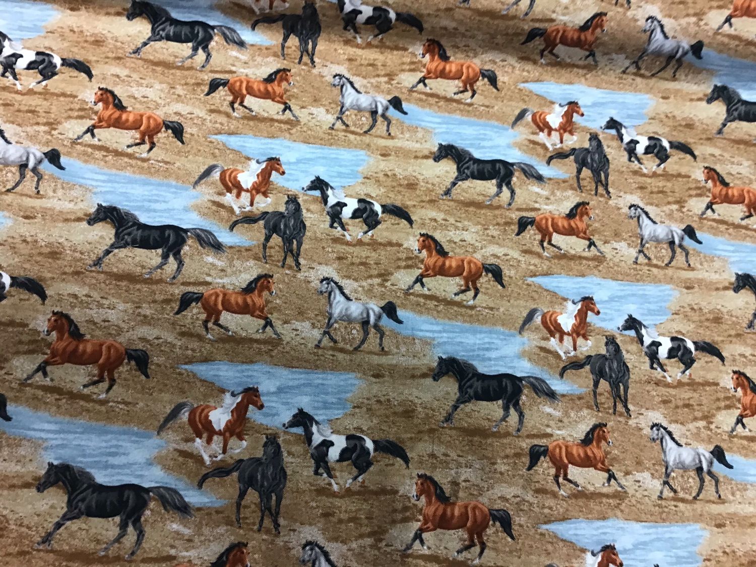 Running Free - Horses
