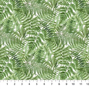 Orchids In Bloom - Ferns On White
