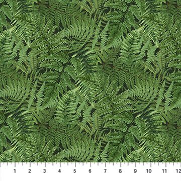 Orchids In Bloom - Ferns On Black