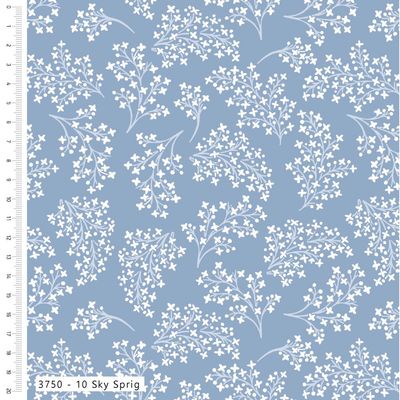 Pressed In Time - Sky Sprig