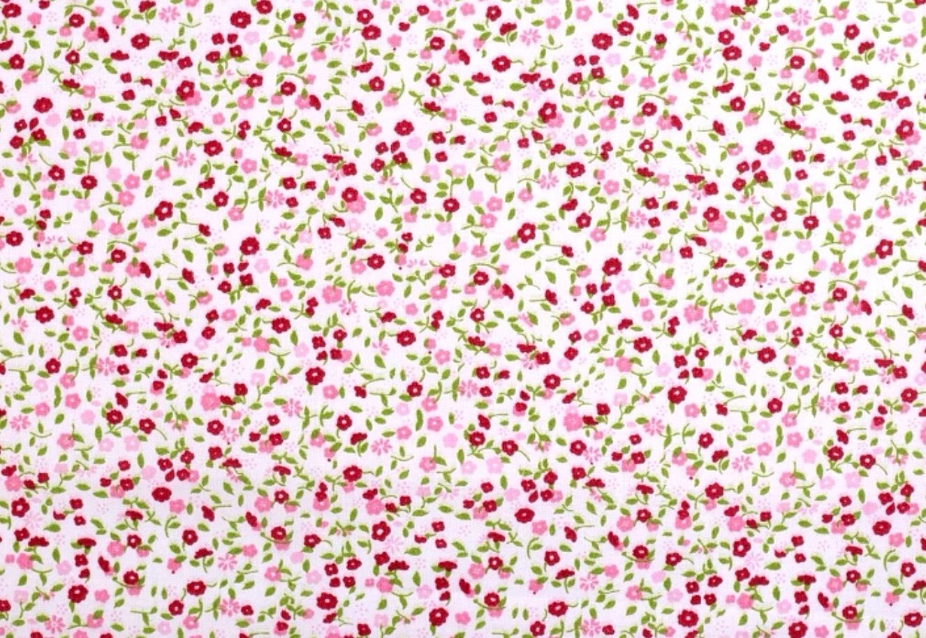 Red Flowers On White