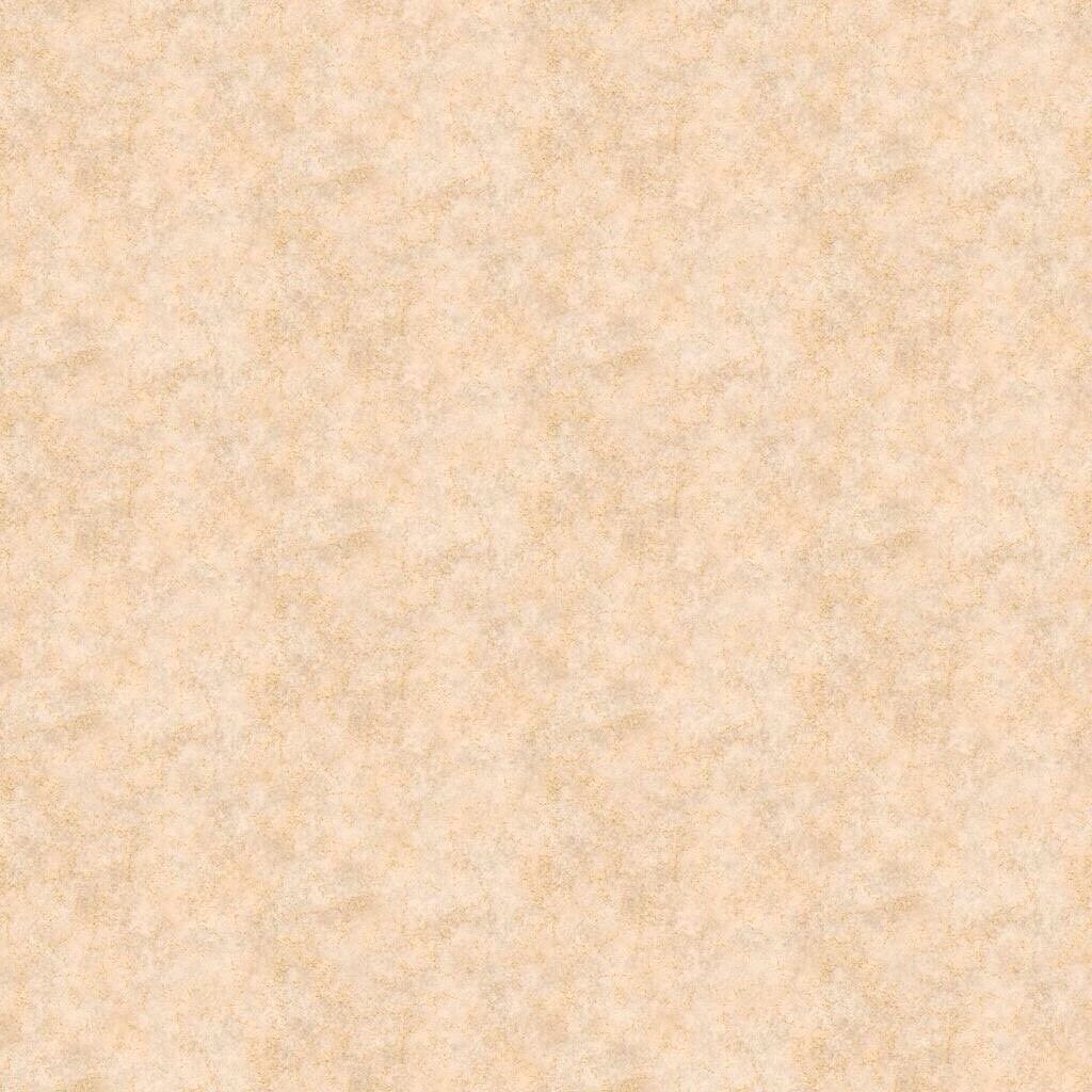 Shimmer Basics
