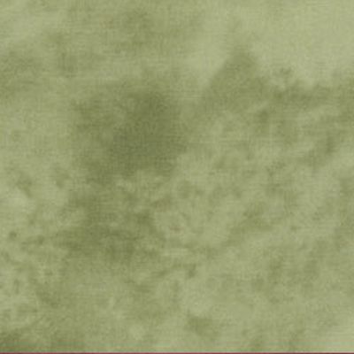 Quilter's Shadow 805