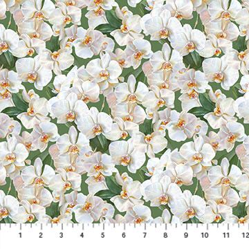 Orchids In Bloom - Packed White Orchids