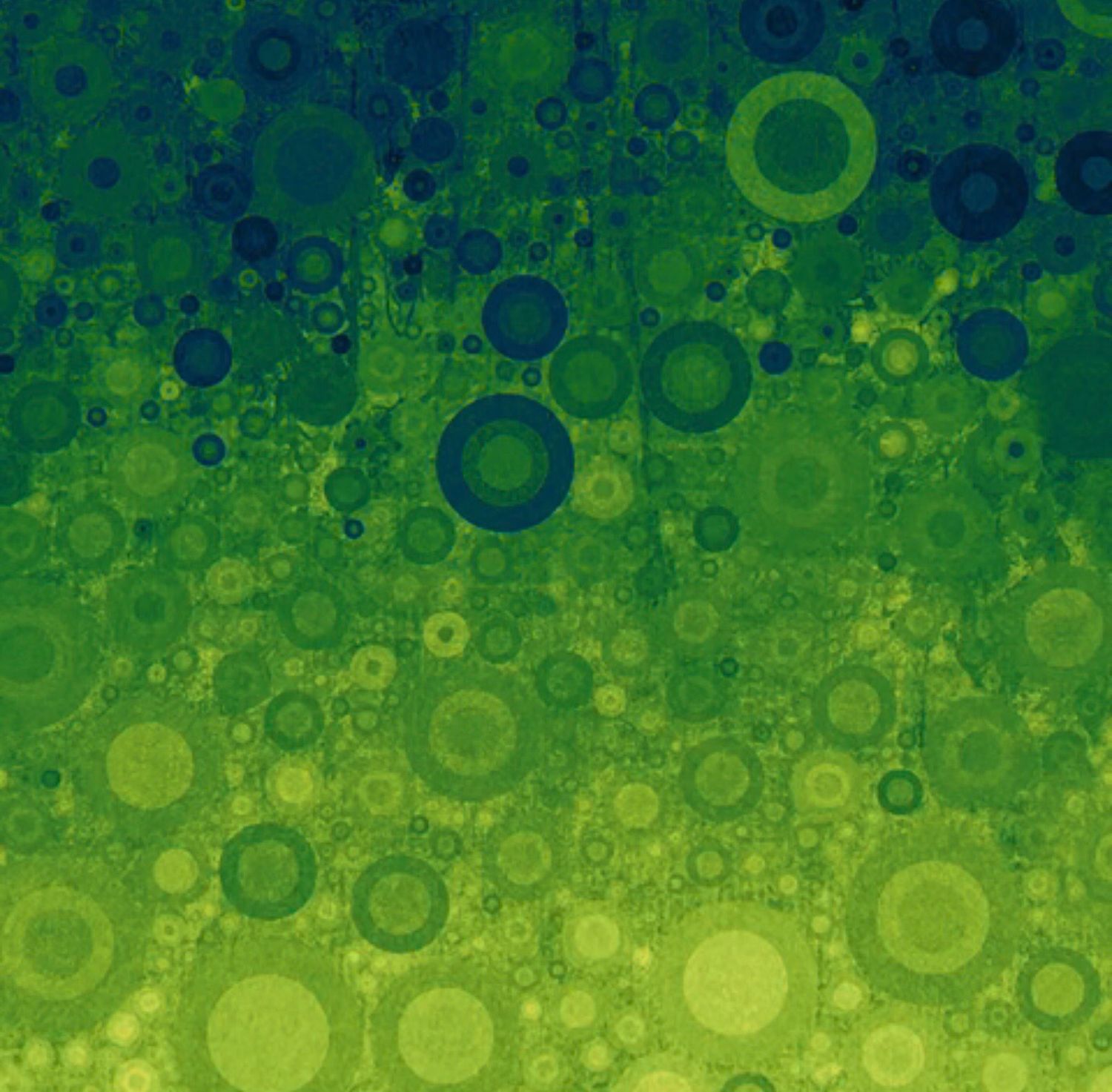 Sonny In The Sunflowers- Abstract Ombre- Green