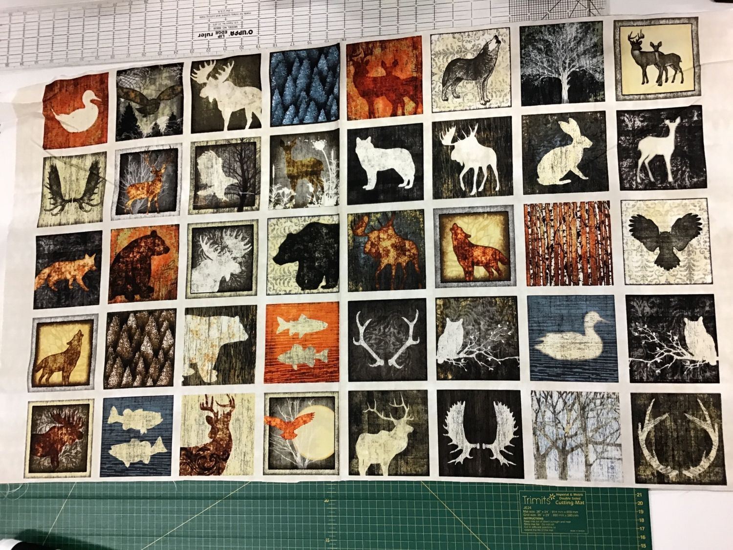 The Wild Panel