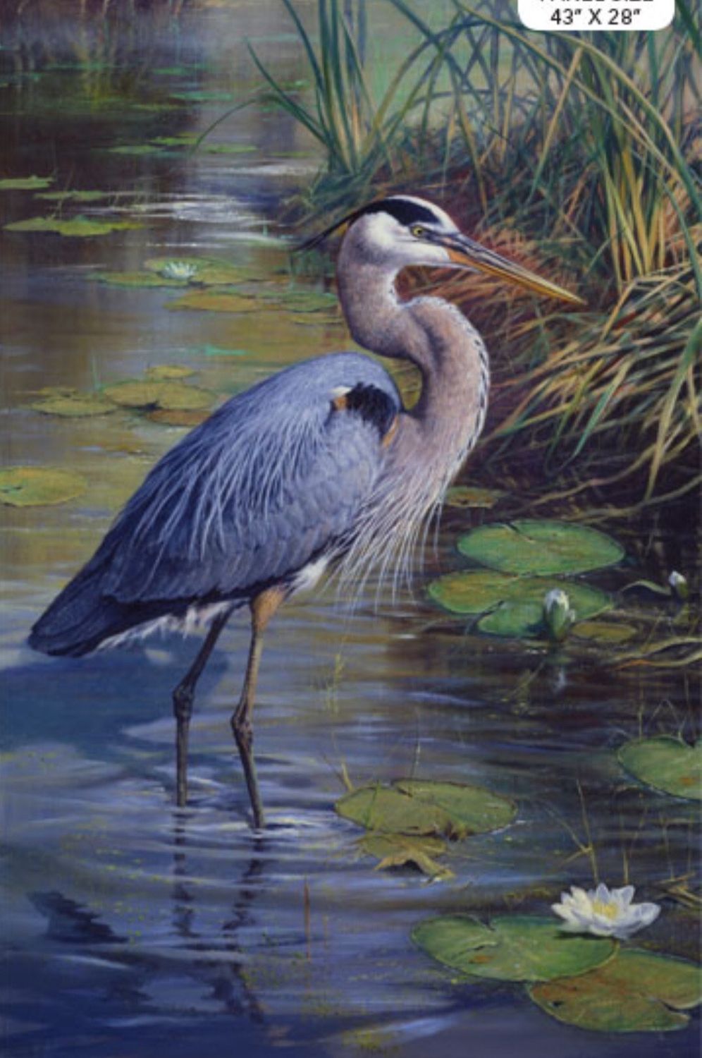 The Great Blue