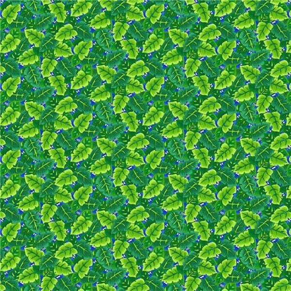 I Spy In The Amazon Leaves