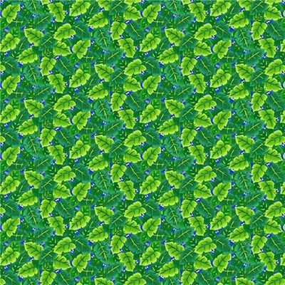 I Spy In The Amazon Leaves