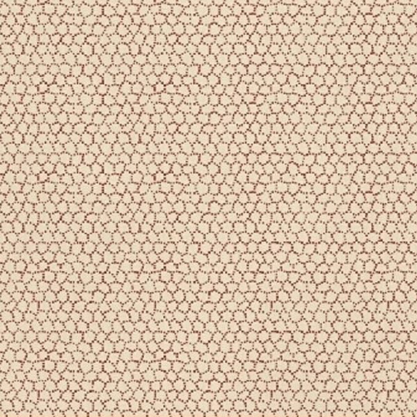Rosewater 8
