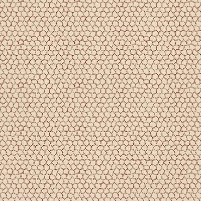 Rosewater 8