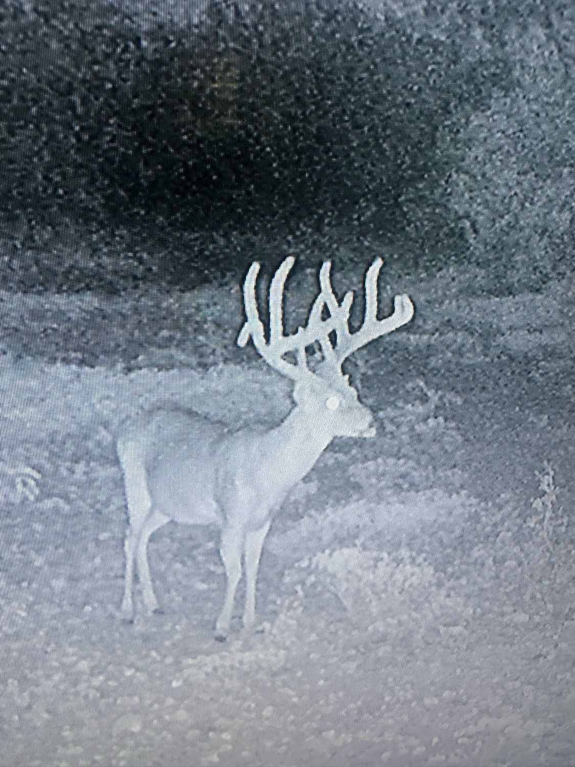 Trophy Whitetail Hunt Serving Women, Children and Yes... Guys Are Welcome!