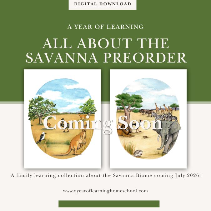 Pre-Order | All About the Savanna Pre-Order | All About the Savanna