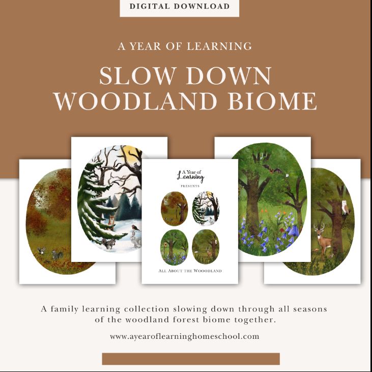 Slow Down Woodland Biome Collection