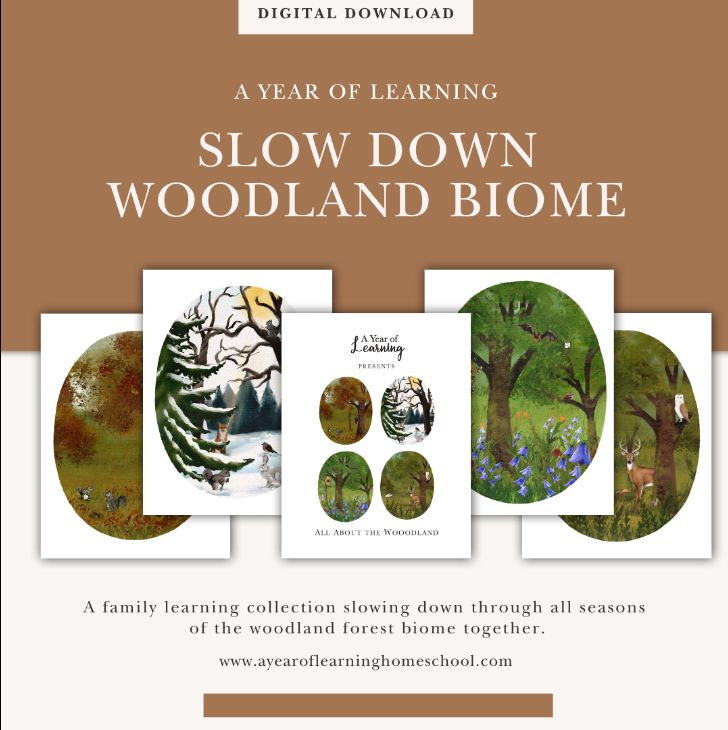 Slow Down Woodland Biome Collection