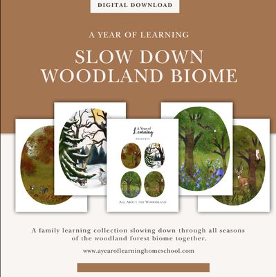 Slow Down Woodland Biome Collection