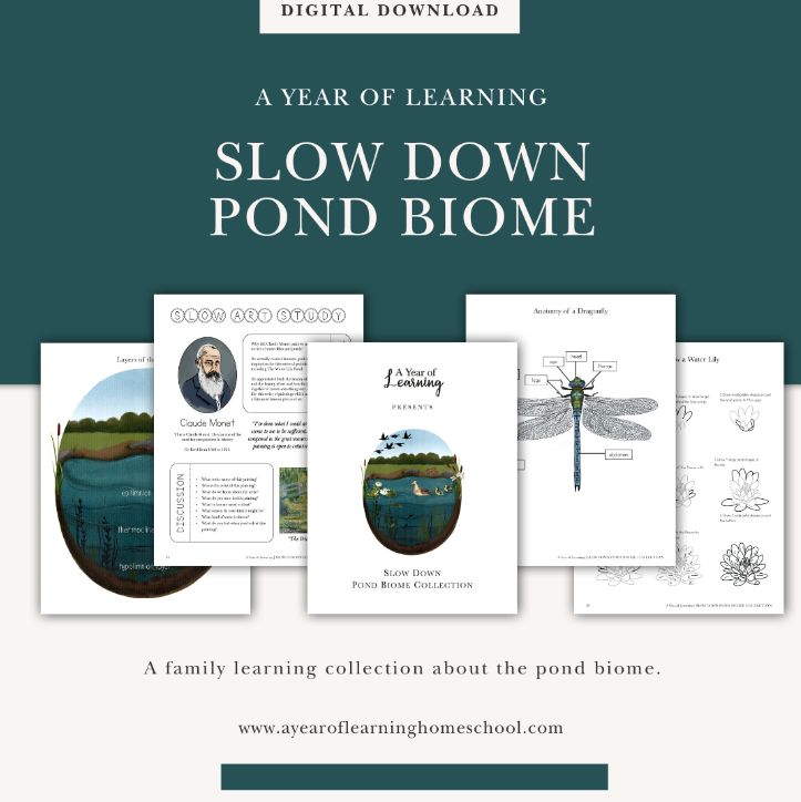Slow Down Pond Biome Collection
