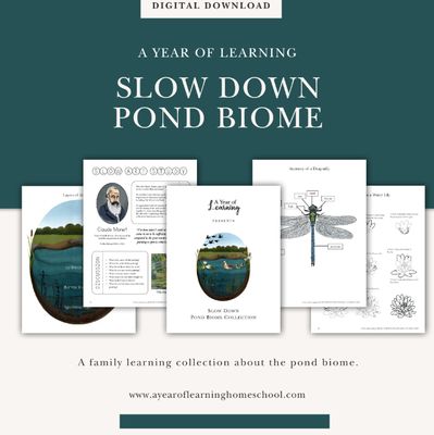 Slow Down Pond Biome Collection Slow Down Pond Biome Collection