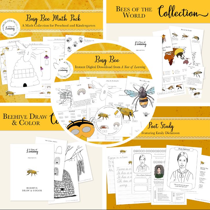 Busy Bee Bundle