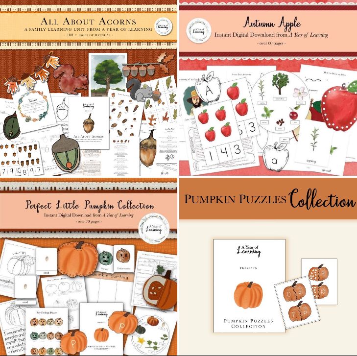 Autumn Bundle Autumn Bundle