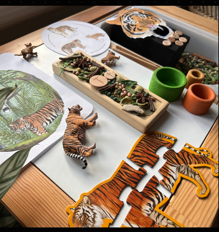 All About Rainforests