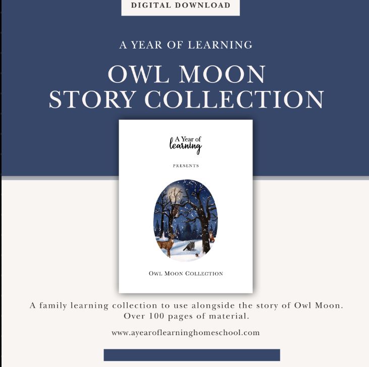 Owl Moon Collection