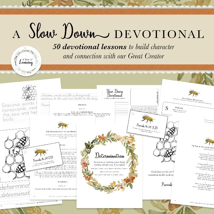 A Slow Down Devotional