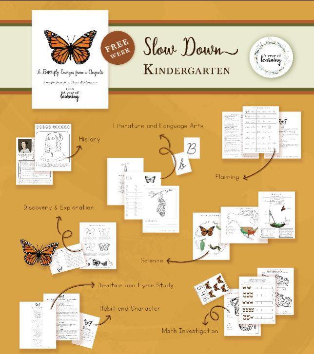 Slow Down Kindergarten Sample Week