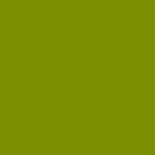 Century Solids - Guacamole