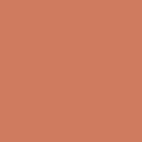 Century Solids - Clay