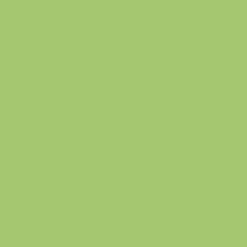 Century Solids - Pear