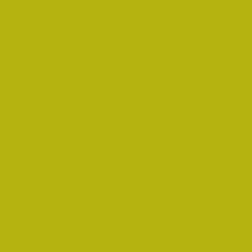 Century Solids - Margarita