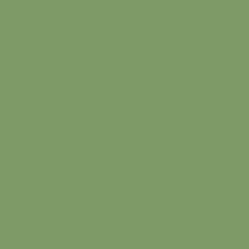 Century Solids - Sage