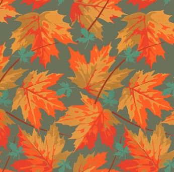 Golden Harvest-Maple