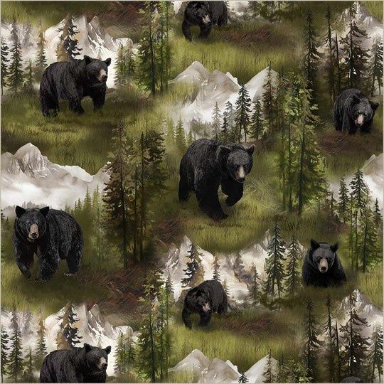 Wildlife - Forest Black Bear